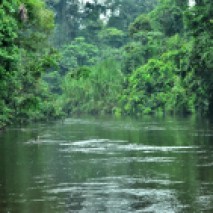 Cocaya River